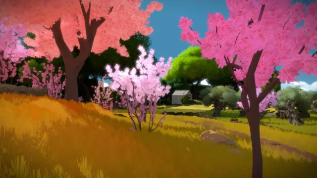 The Witness — pink flowering trees beside a field