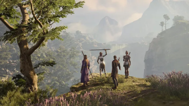 Baldur's Gate 3 — PC screenshot: Adventurers overlooking a landscape