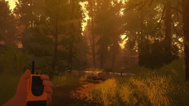 Firewatch — PC screenshot: A wooded trail viewed while holding a radio